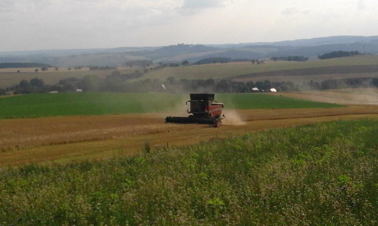 Seidelsferienparadiesgahlenz Esterno foto
